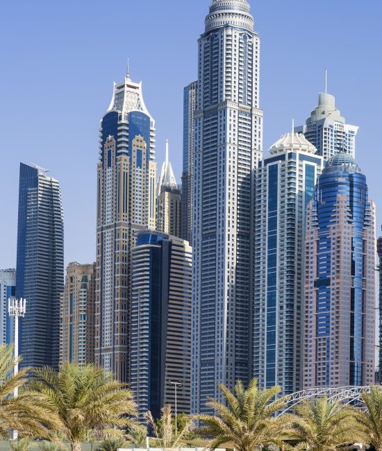 Vertical view of skyscrapers and palm trees Vertical view of skyscrapers and palm trees in Dubai. UAE